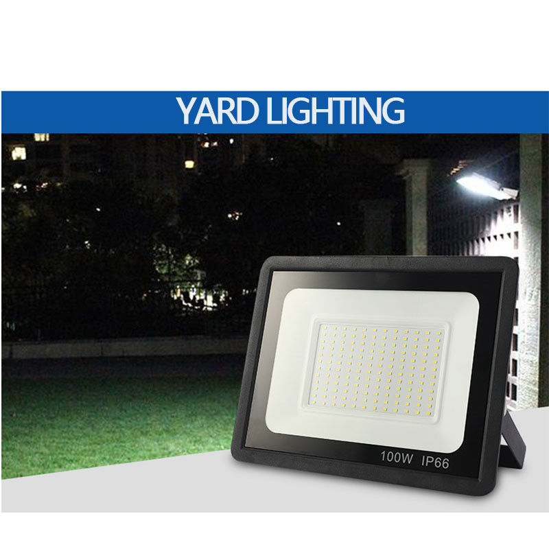 Waterdicht IP66 10W 20W 30W 50W 100W 150W 200W 300W LED-voorlicht voor buitenverlichting