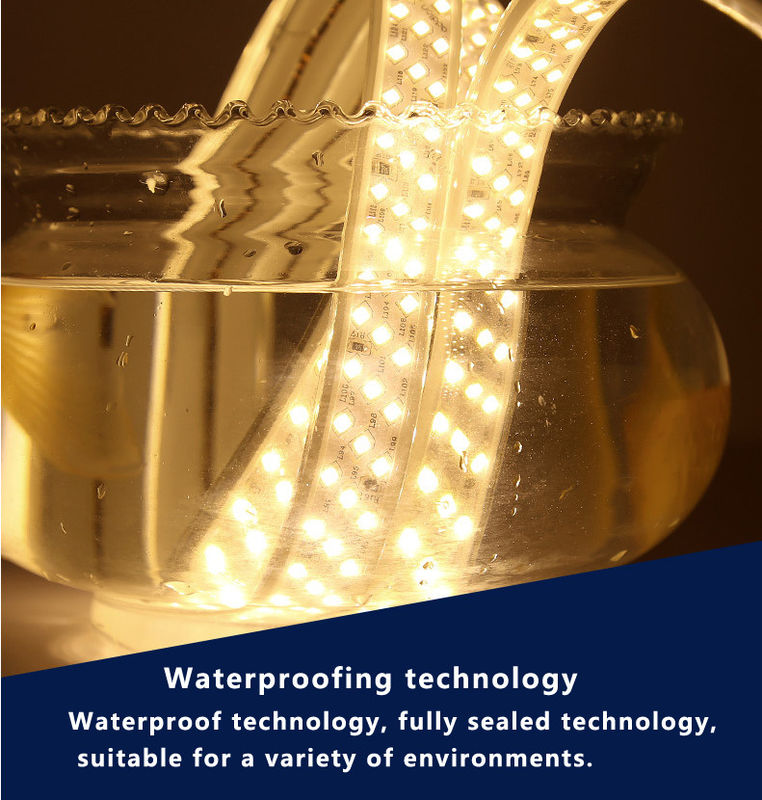 15 kg Gewicht van het product Festival Strip Light 3 2835 2700k 24v 12v SMD 2835 LED Strip